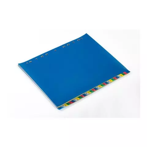 Разделитель пластиковый широкий Brauberg А4+ 31 лист цифровой 1-31 оглавление цветной