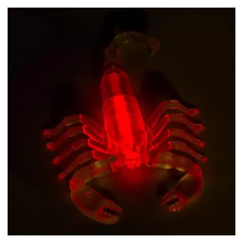 Светящаяся (неоновая) игрушка-кулон скорпион Юнландия красный длина 105 см.