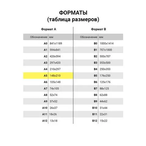 Тетрадь предметная NAVIGATOR 48 листов выборочный лак русский язык клетка подсказ Brauberg