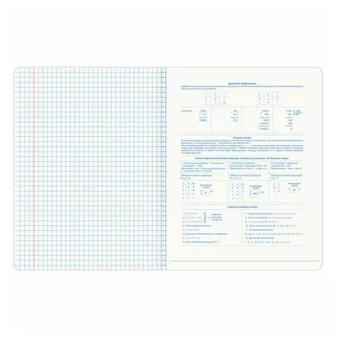 Тетрадь предметная со справочным материалом original 48 л. TWIN лак информатика клетка Brauberg
