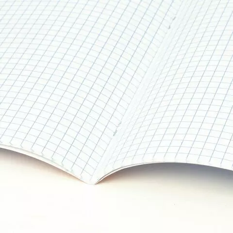Тетрадь предметная со справочным материалом VISION 48 л. обложка картон физика клетка Brauberg