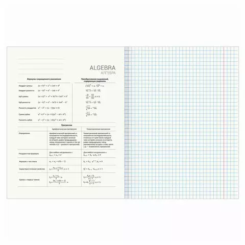 Тетрадь предметная "DELIGHT" 48 л. обложка картон алгебра клетка Brauberg