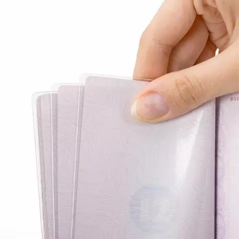 Обложка для паспорта набор 13 шт. (паспорт - 1 шт. страницы паспорта - 10 шт. карты - 2 шт.) ПВХ Staff
