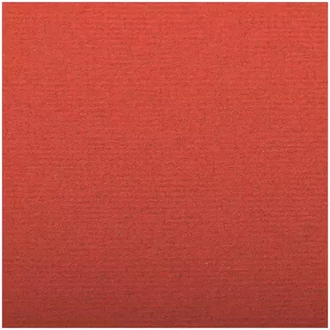 Бумага для пастели 25 л. 500*650 мм. Clairefontaine "Ingres" 130г./м2 верже хлопок красный