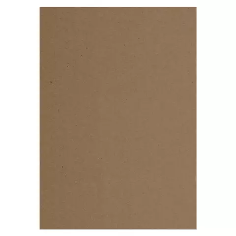 Крафт-бумага для графики эскизов А4(210х297 мм.) 120г./м2 100 л. Brauberg Art Classic