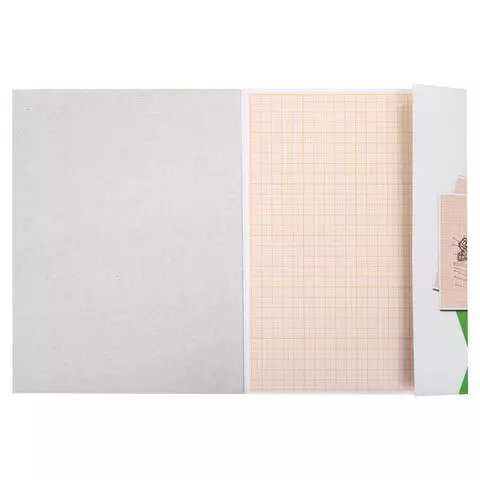 Бумага масштабно-координатная (миллиметровая) папка А4 оранжевая 10 листов 65г./м2 Staff
