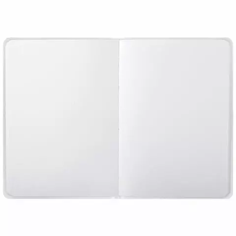 Скетчбук белая бумага 80г./м2 145х203 мм. 80 л. резинка твердый Brauberg Art Debut "Хогвартс"