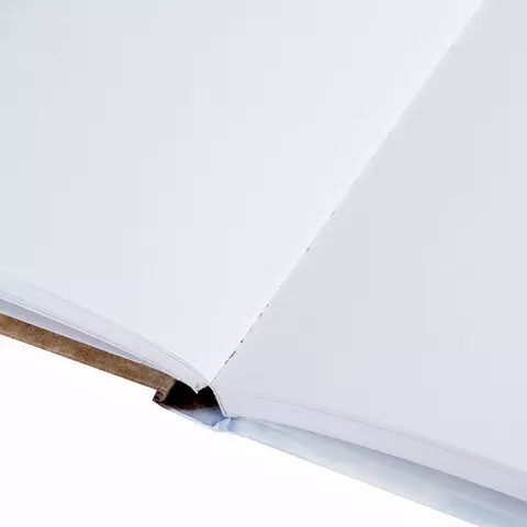 Скетчбук белая бумага 120г./м2 145х203 мм. 80 л. резинка твердый Brauberg Art Debut "Львёнок"