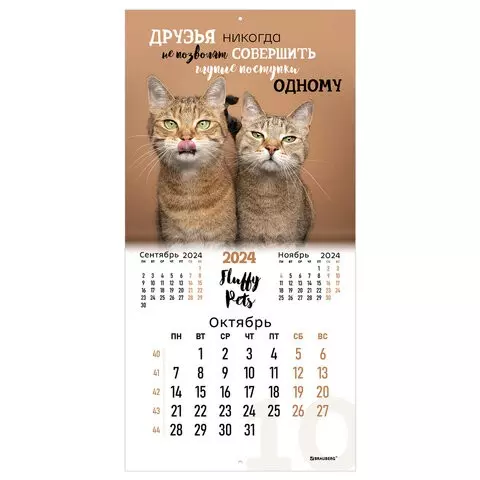 Календарь настенный перекидной на 2024 г. Brauberg 12 листов 29х29 см. "Кошечки"