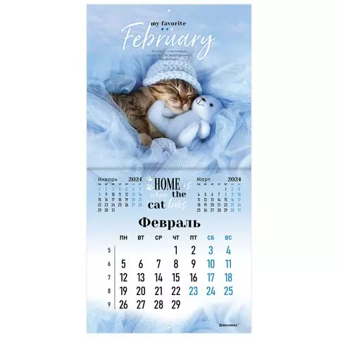 Календарь настенный перекидной на 2024 г. Brauberg 12 листов 29х29 см. "Милые котики"