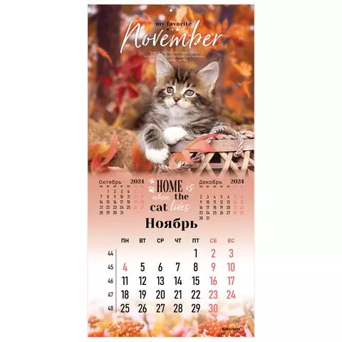 Календарь настенный перекидной на 2024 г. Brauberg 12 листов 29х29 см. "Милые котики"