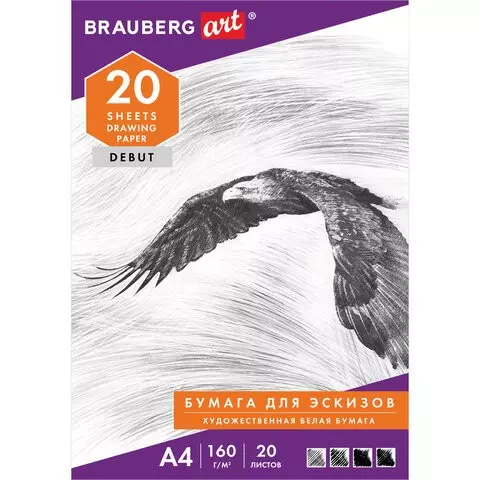 Папка для рисования А4 20 л. 160г./м2 Brauberg 210х297 мм. "Орел"