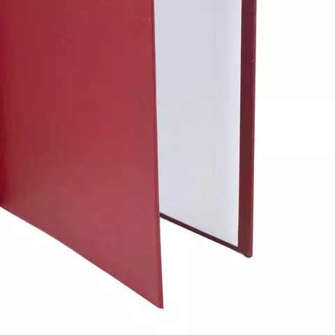Папка-обложка для дипломного проекта Staff А4 215х305 мм. фольга 3 отверстия под дырокол шнур бордовая