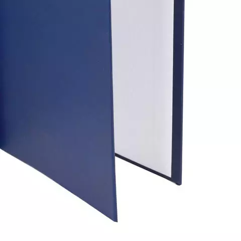 Папка-обложка для дипломного проекта Staff А4 215х305 мм. фольга 3 отверстия под дырокол шнур синяя