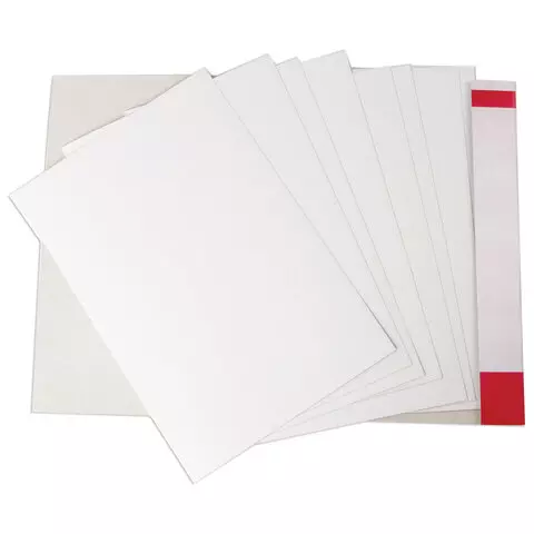 Картон белый А4 немелованный (матовый) 8 листов в папке Brauberg 200х290 мм. "Барсик 1"