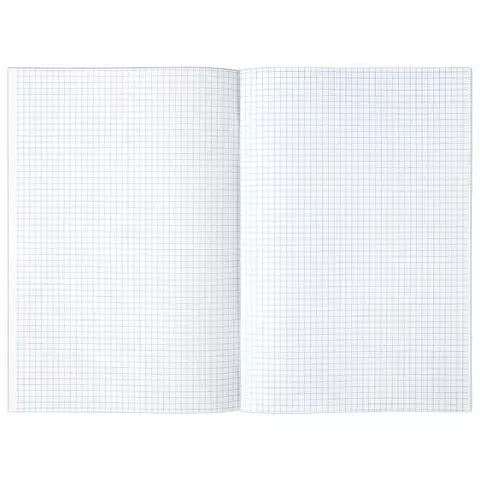 Книга учета 48 л. клетка обложка из мелованного картона блок офсет А4 (200х290 мм.) Staff