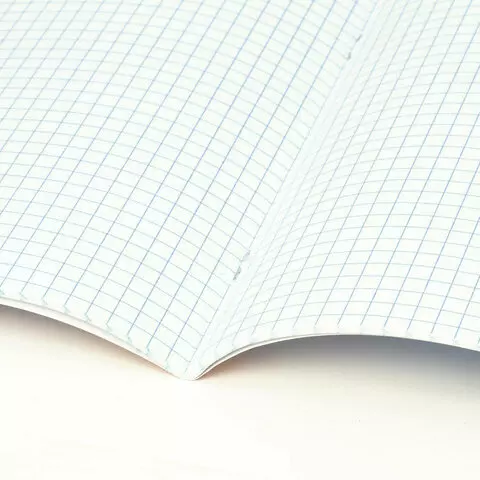 Тетрадь предметная "ПРИРОДА" 48 л. обложка картон, геометрия, клетка, подсказ, Brauberg