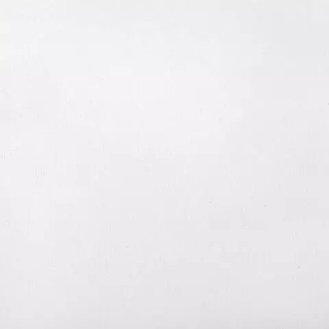 Картон белый А4 немелованный 10 листов в папке ЮНЛАНДИЯ 200х290 мм. "Лебедь"