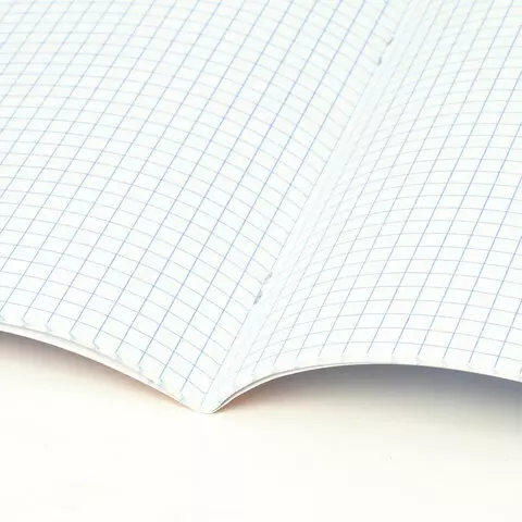 Тетрадь предметная "КЛАССИКА NEW" 48 л. обложка картон физика клетка Brauberg