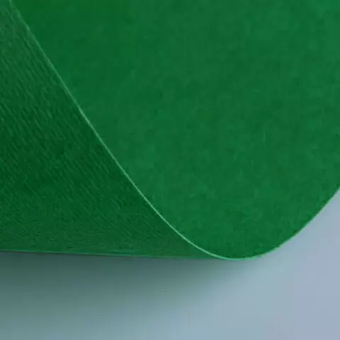 Бумага (картон) для творчества 1 лист FABRIANO "Elle Erre" А2+ 500х700 мм. 220г./м2 темно-зеленый