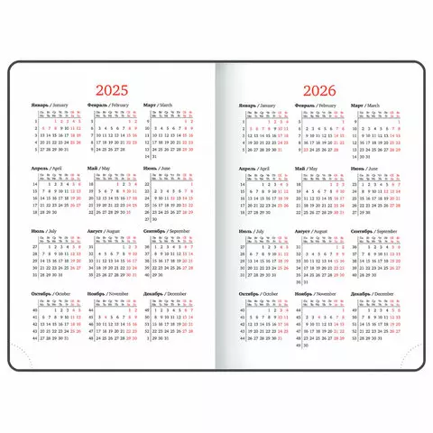 Ежедневник датированный 2025, А5, 138х213 мм, BRAUBERG "Plain", под кожу, резинка, держатель для ручки, синий, 115916