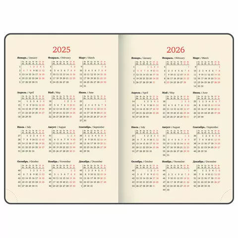 Ежедневник датированный 2025, А5, 162х218 мм, BRAUBERG "Note", под кожу, держатель для ручки, резинка-фиксатор, серо-голубой,115934