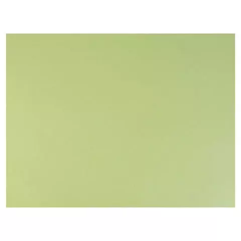 Бумага для пастели (1 лист) FABRIANO Tiziano А2+ (500х650 мм.) 160г./м2 салатовый теплый