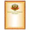 Грамота "Благодарственное письмо" А4 мелованный картон конгрев тиснение фольгой желтая Brauberg