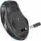 Мышь беспроводная DEFENDER Prime MB-053 USB 5 кнопок + 1 колесо-кнопка оптическая бирюзова